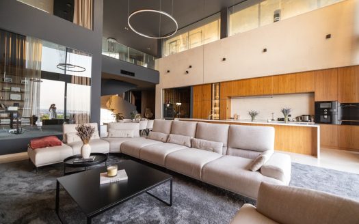 Marvelous villa near Novi Sad