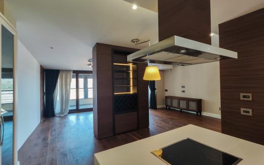 Sophisticated penthouse in Vracar