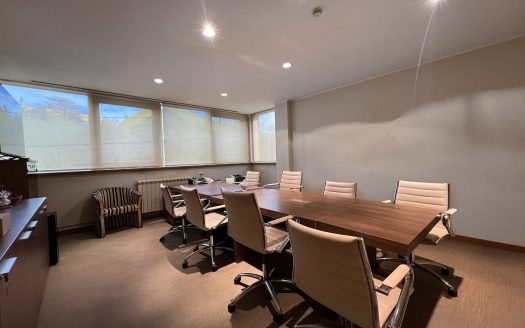 Business space on Mise Vujica Street in Palilula