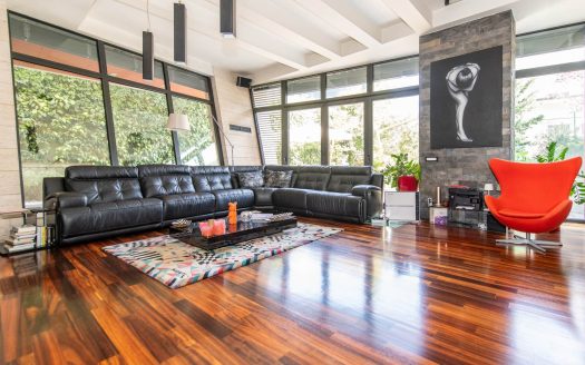 Attractive City Villa