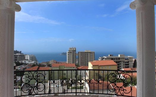 Villa in Montenegro with a sea view