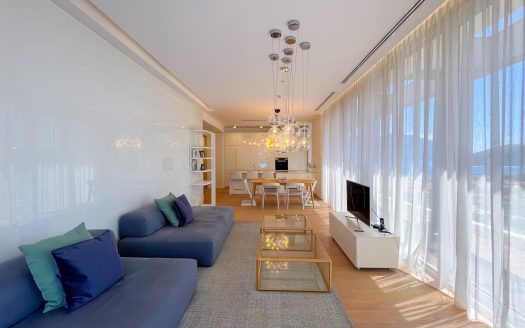 Modern three bedroom apartment