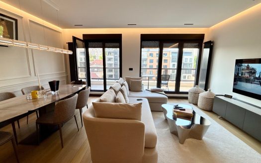 Unique 3-bedroom apartment in Vracar