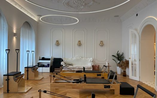 Trg Slobode, 2 bedroom salon style apartment