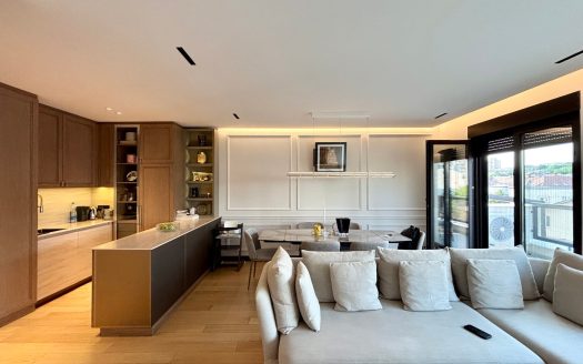 Unique 3-bedroom apartment in Vracar